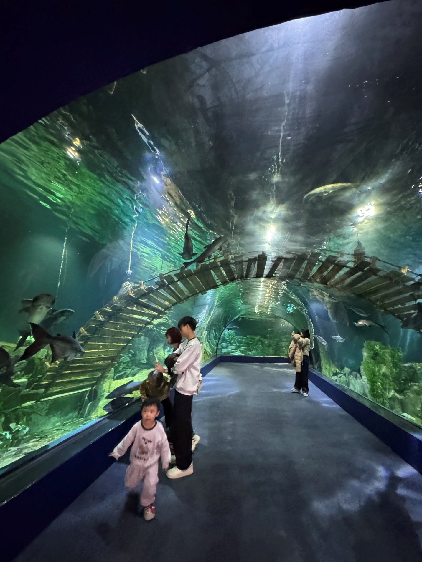 Quy hoạch không gian ngầm - vấn đề tất yếu của đô thị đặc biệt- Ảnh 2. Quy hoạch không gian ngầm - vấn đề tất yếu của đô thị đặc biệt- Ảnh 2.