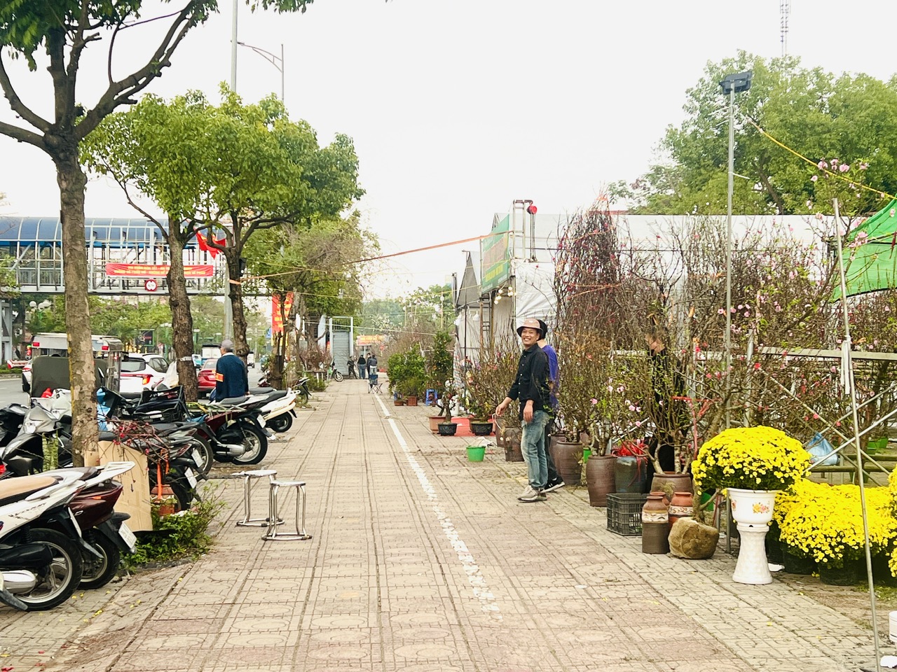 Vỉa h&egrave; H&agrave; Nội chật chội m&ugrave;a hoa Tết- Ảnh 19.