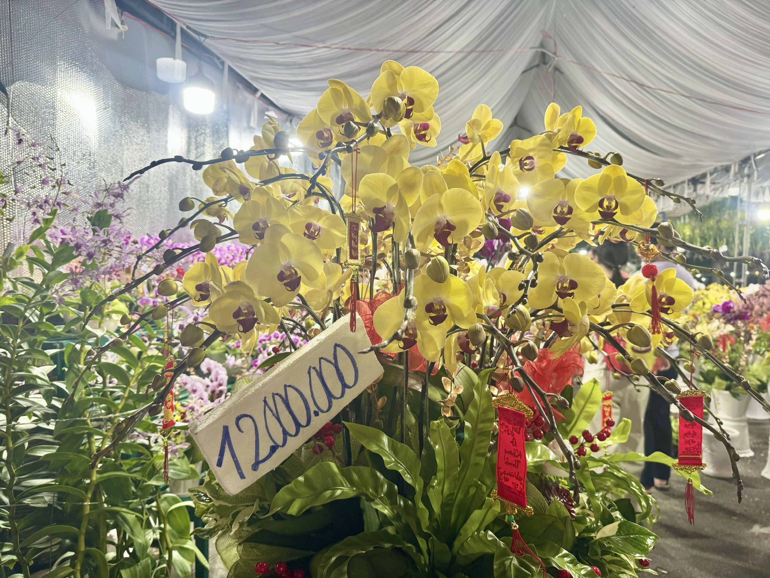 Đồng Nai: Hoa Tết rực rỡ xuống phố, tiểu thương hồi hộp chờ cao điểm mua sắm- Ảnh 11.