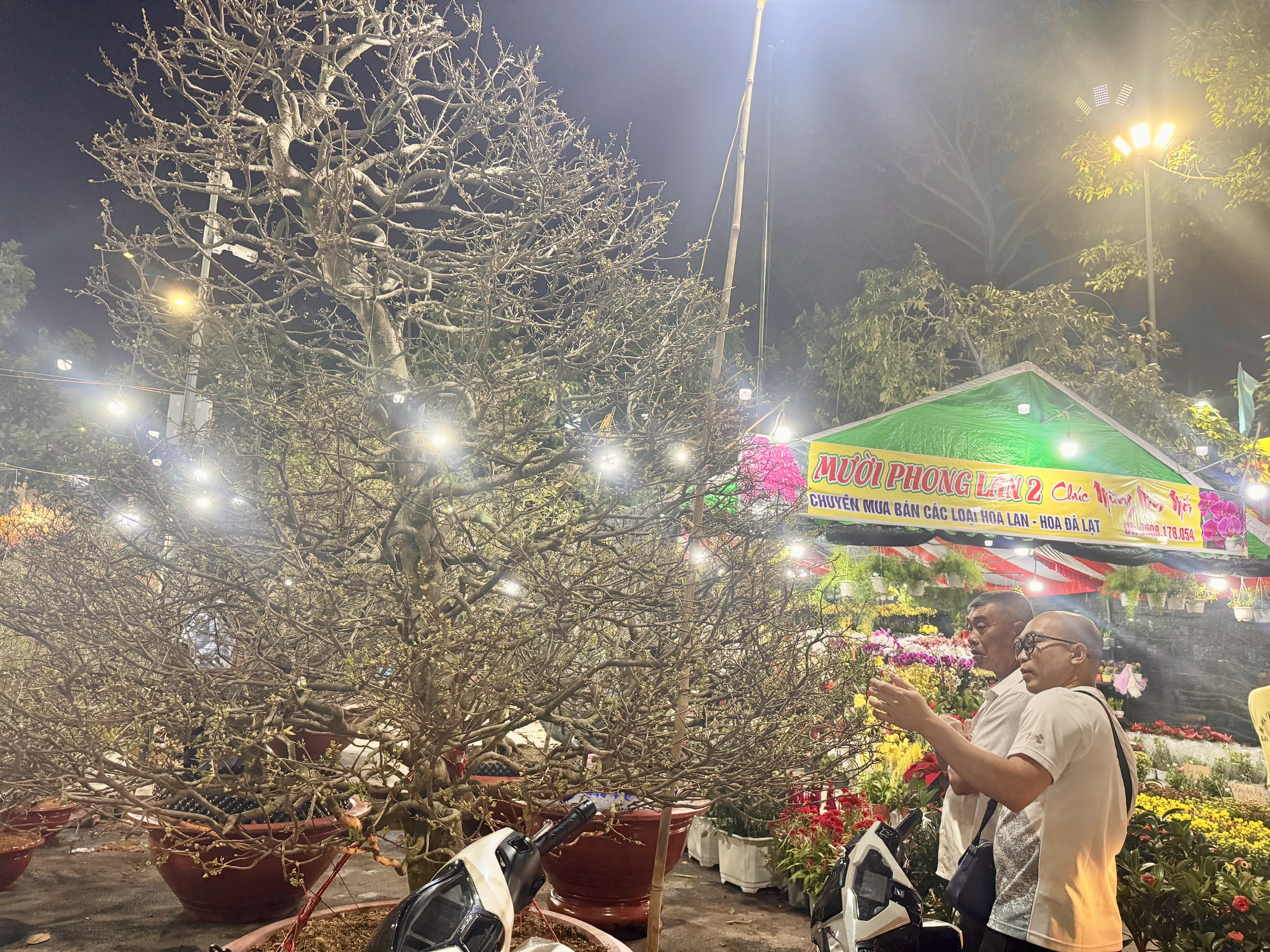 Đồng Nai: Hoa Tết rực rỡ xuống phố, tiểu thương hồi hộp chờ cao điểm mua sắm- Ảnh 14.