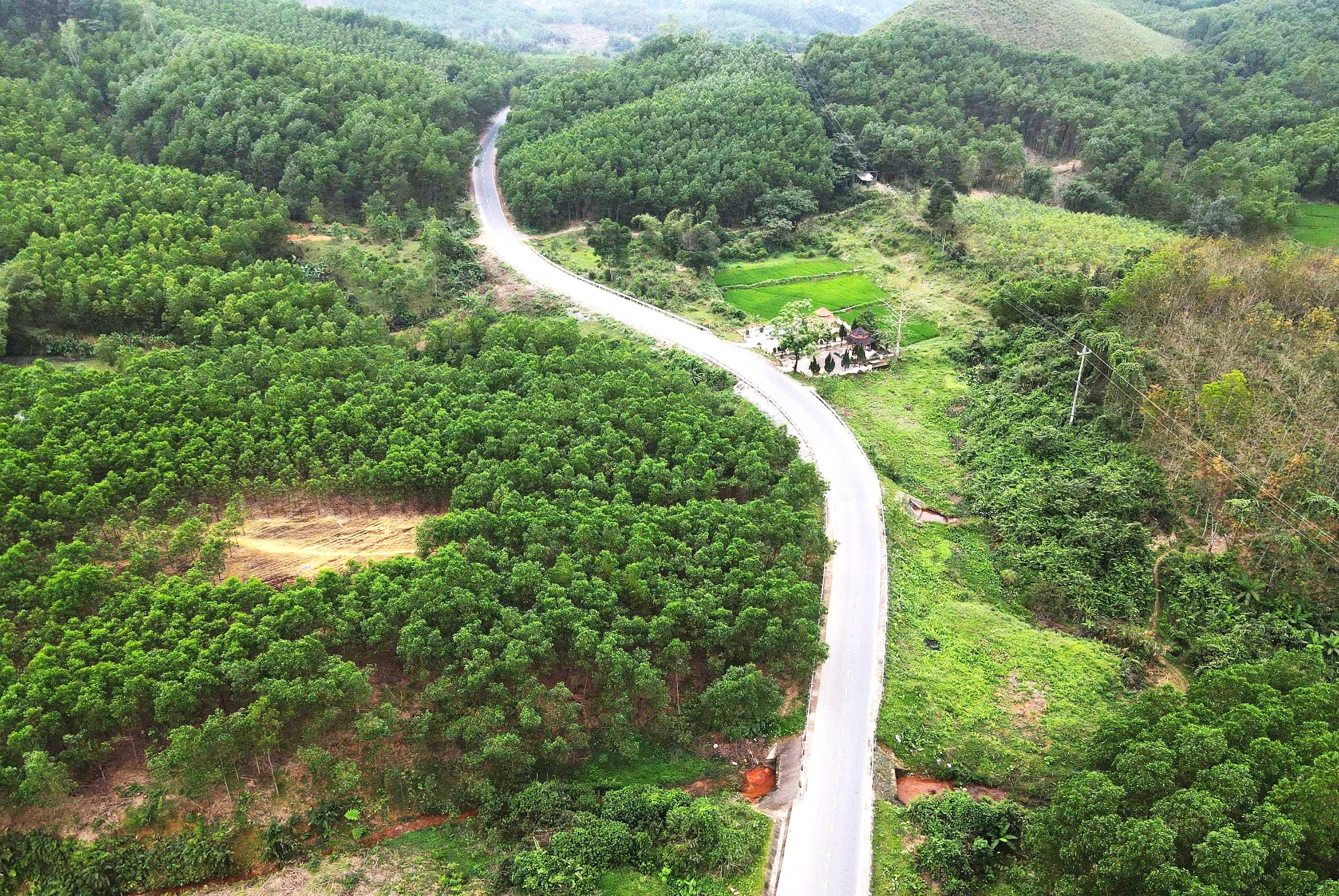 Xe chở quặng gia tăng tr&ecirc;n QL49, Huế t&iacute;nh phương &aacute;n cấm xe tải tr&ecirc;n 4 trục- Ảnh 9.