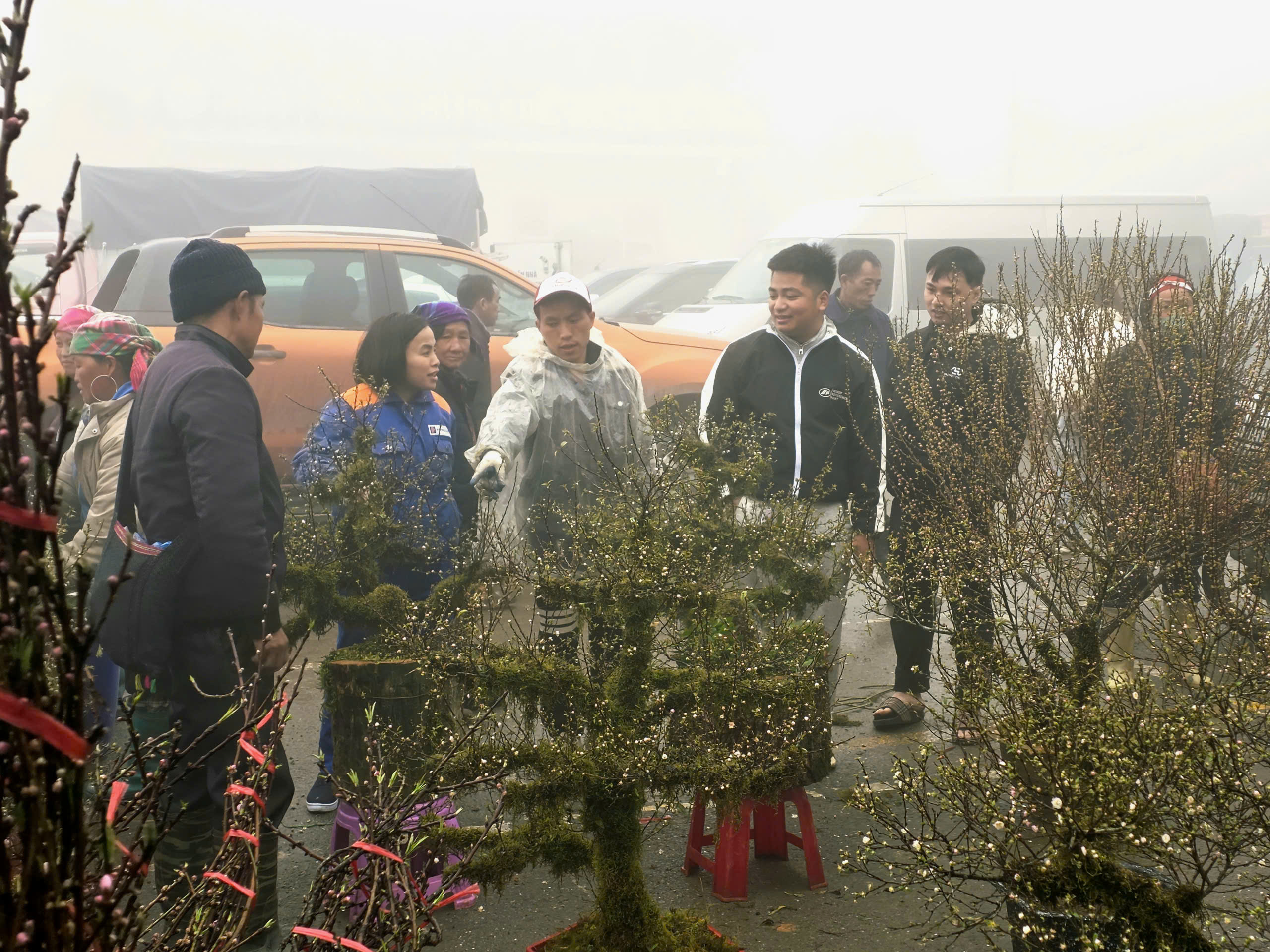 Đ&agrave;o rừng, nhất chi mai ở Sa Pa nhộn nhịp xuống phố- Ảnh 12.