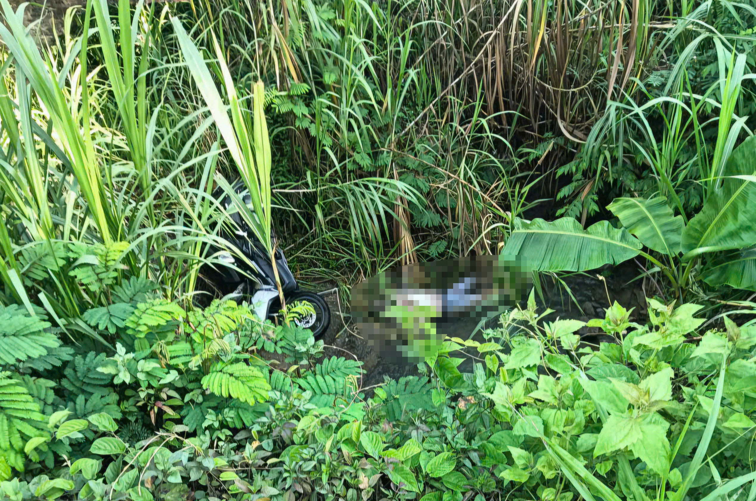 L&acirc;m Đồng: Ph&aacute;t hiện thi thể nam sinh vi&ecirc;n dưới ch&acirc;n đ&egrave;o Chuối sau hơn 2 ng&agrave;y mất t&iacute;ch- Ảnh 1.