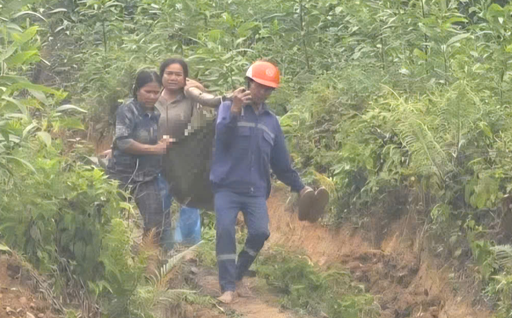 Chặt keo dưới đường d&acirc;y cao thế ở Quảng Ng&atilde;i, hai người bị điện giật nguy kịch- Ảnh 1.