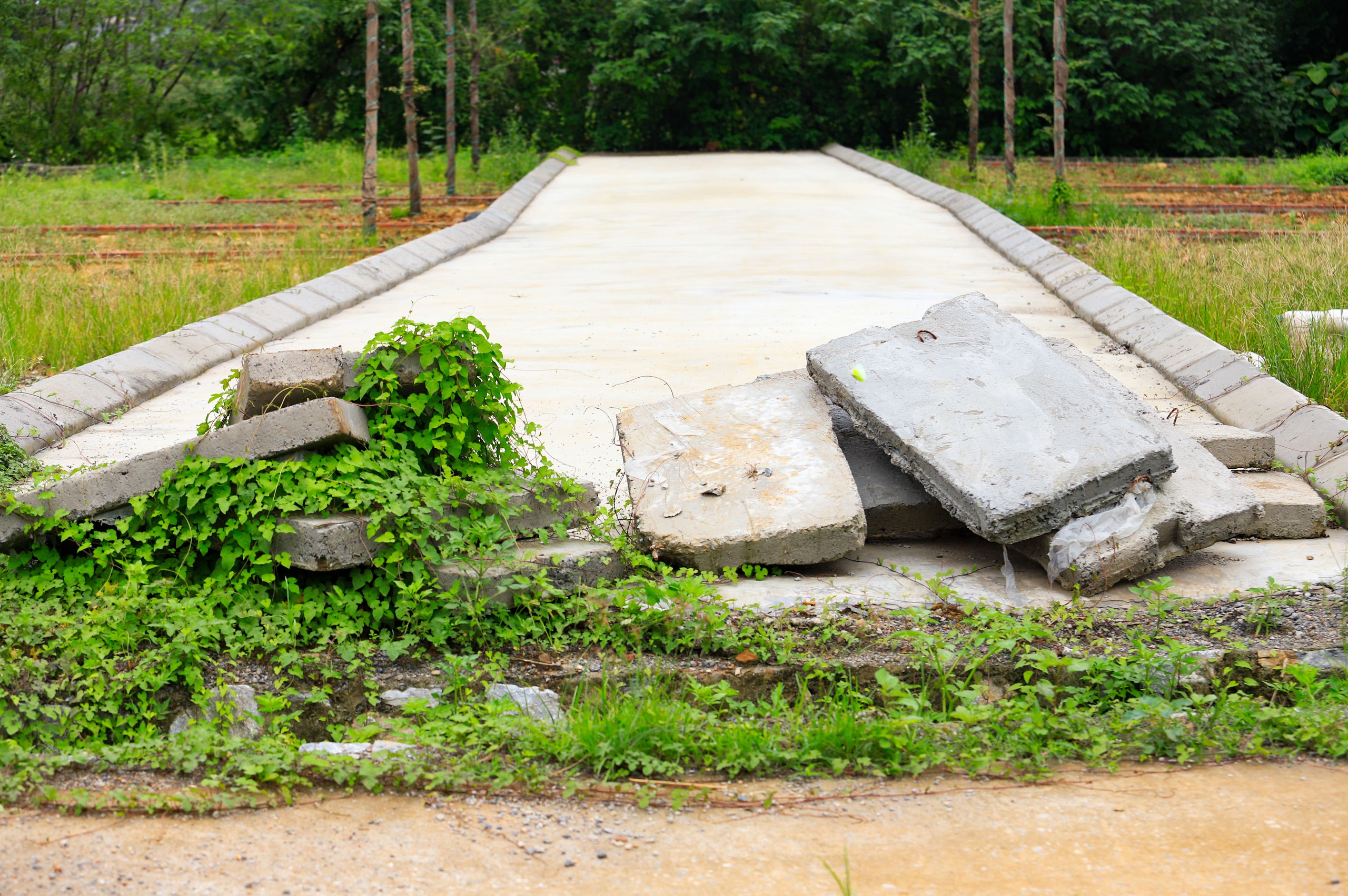 Đề xuất chủ tịch x&atilde; được xử phạt vi phạm đất đai đến 250 triệu đồng- Ảnh 1.