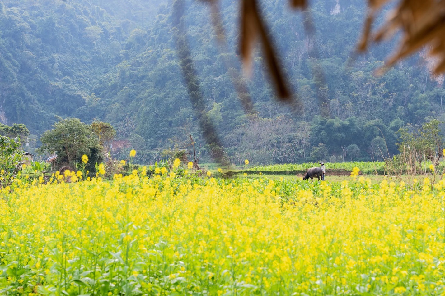 Du lịch Nghệ An chờ "c&uacute; h&iacute;ch" từ hạ tầng v&agrave; ch&iacute;nh s&aacute;ch- Ảnh 2.