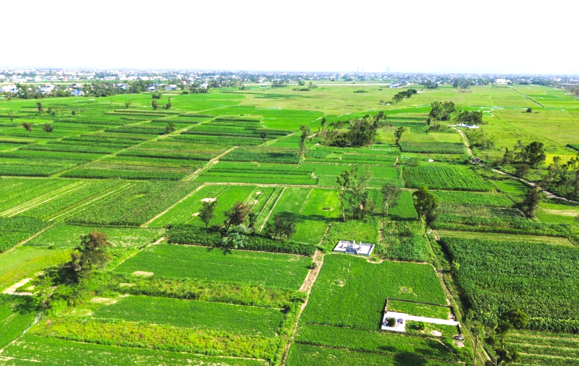 Toàn cảnh khu vực dự kiến xây dựng trụ sở hành chính hơn 4.000 tỷ đồng của tỉnh Nghệ An- Ảnh 10. Toàn cảnh khu vực dự kiến xây dựng trụ sở hành chính hơn 4.000 tỷ đồng của tỉnh Nghệ An- Ảnh 10.