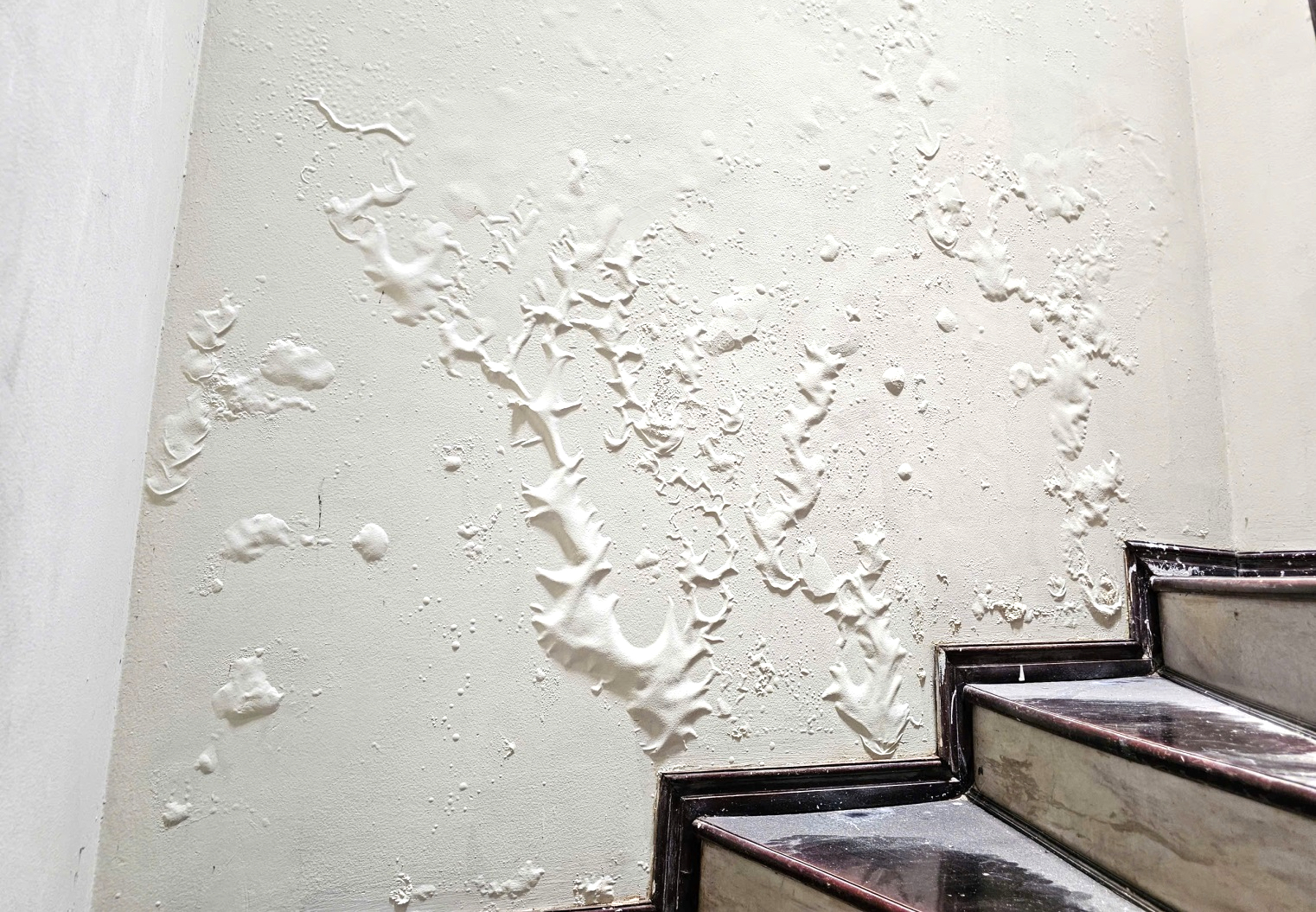 E:\Năm 2026\Th&aacute;ng 3\z7578105469146_6831c2ee01658f3aa7b699358adeec61.jpg