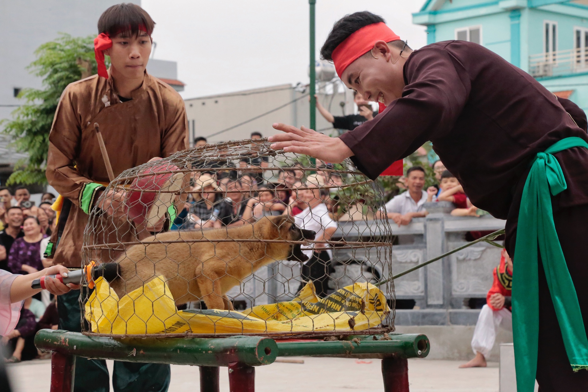 Độc đ&aacute;o lễ hội k&eacute;n rể Đường Y&ecirc;n ở H&agrave; Nội- Ảnh 11.