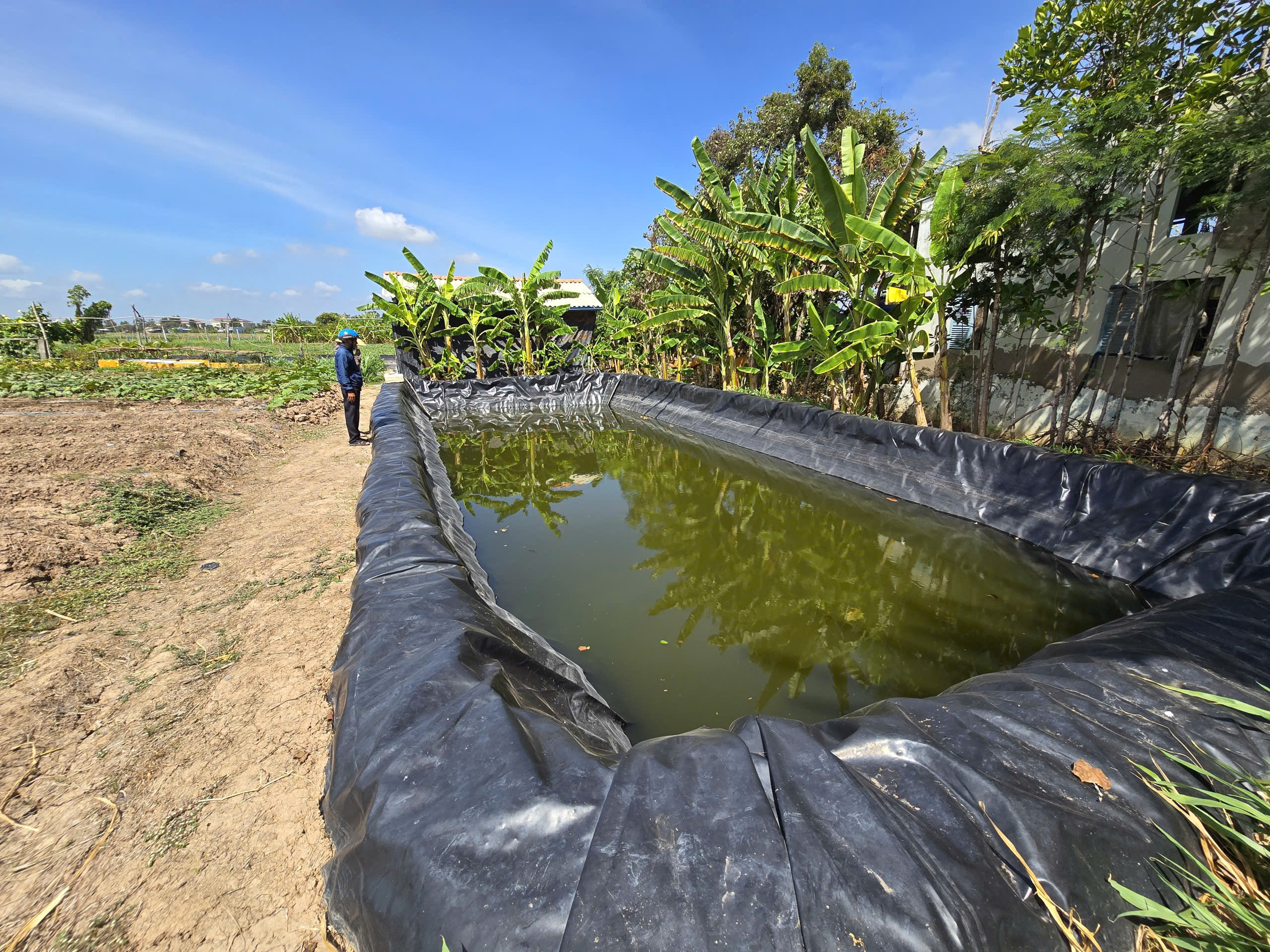 Bàn giải pháp chống "khát" cho Đồng bằng sông Cửu Long- Ảnh 3. Bàn giải pháp chống "khát" cho Đồng bằng sông Cửu Long- Ảnh 3.