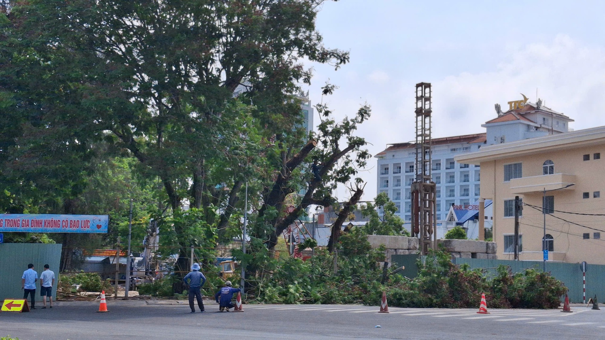 Di dời 14 cây xanh, gỡ điểm nghẽn dự án Thư viện Cần Thơ sau một năm ì ạch- Ảnh 1. Di dời 14 cây xanh, gỡ điểm nghẽn dự án Thư viện Cần Thơ sau một năm ì ạch- Ảnh 1.