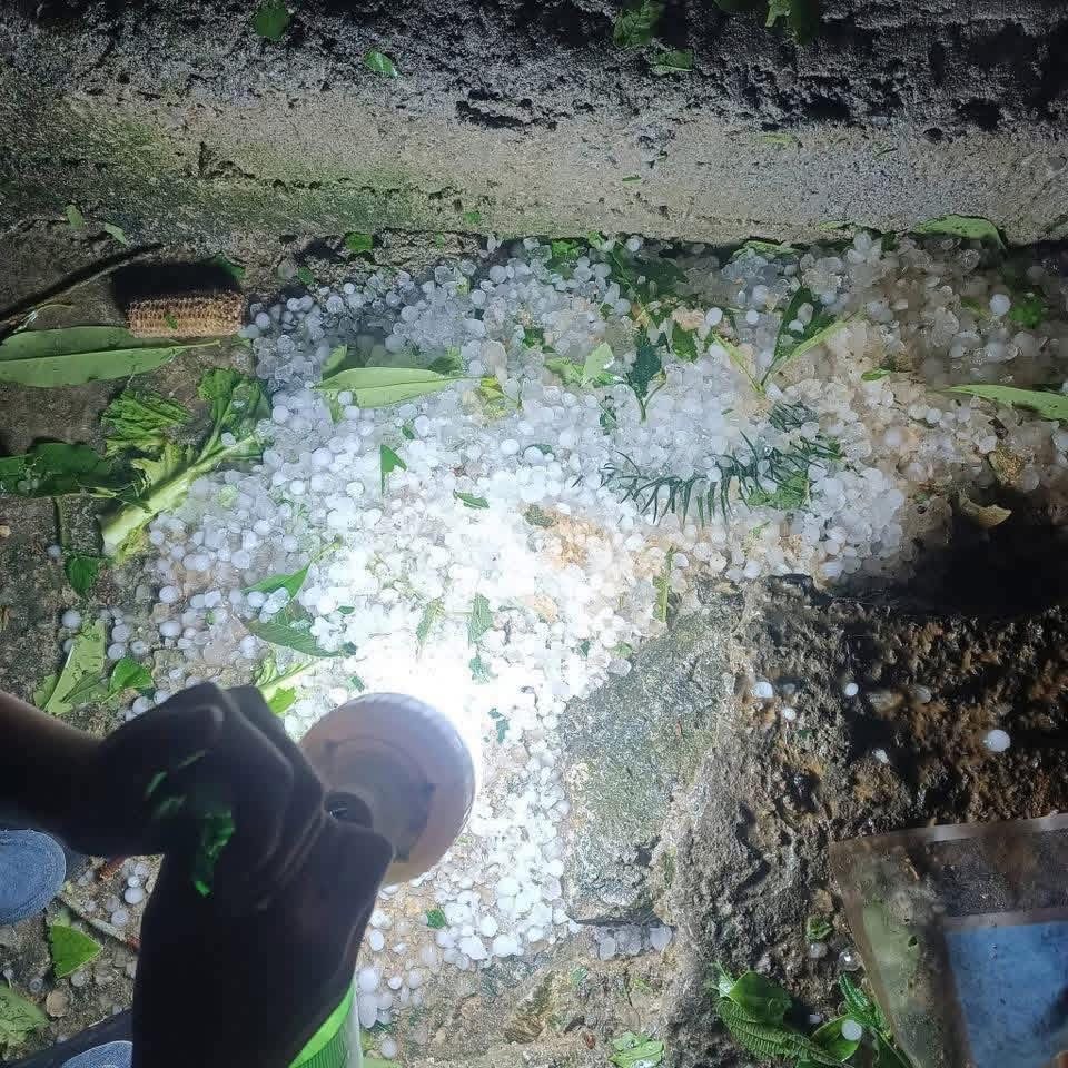 Mưa đá trong đêm gây thiệt hại tại nhiều xã vùng cao Tuyên Quang- Ảnh 5. Mưa đá trong đêm gây thiệt hại tại nhiều xã vùng cao Tuyên Quang- Ảnh 5.