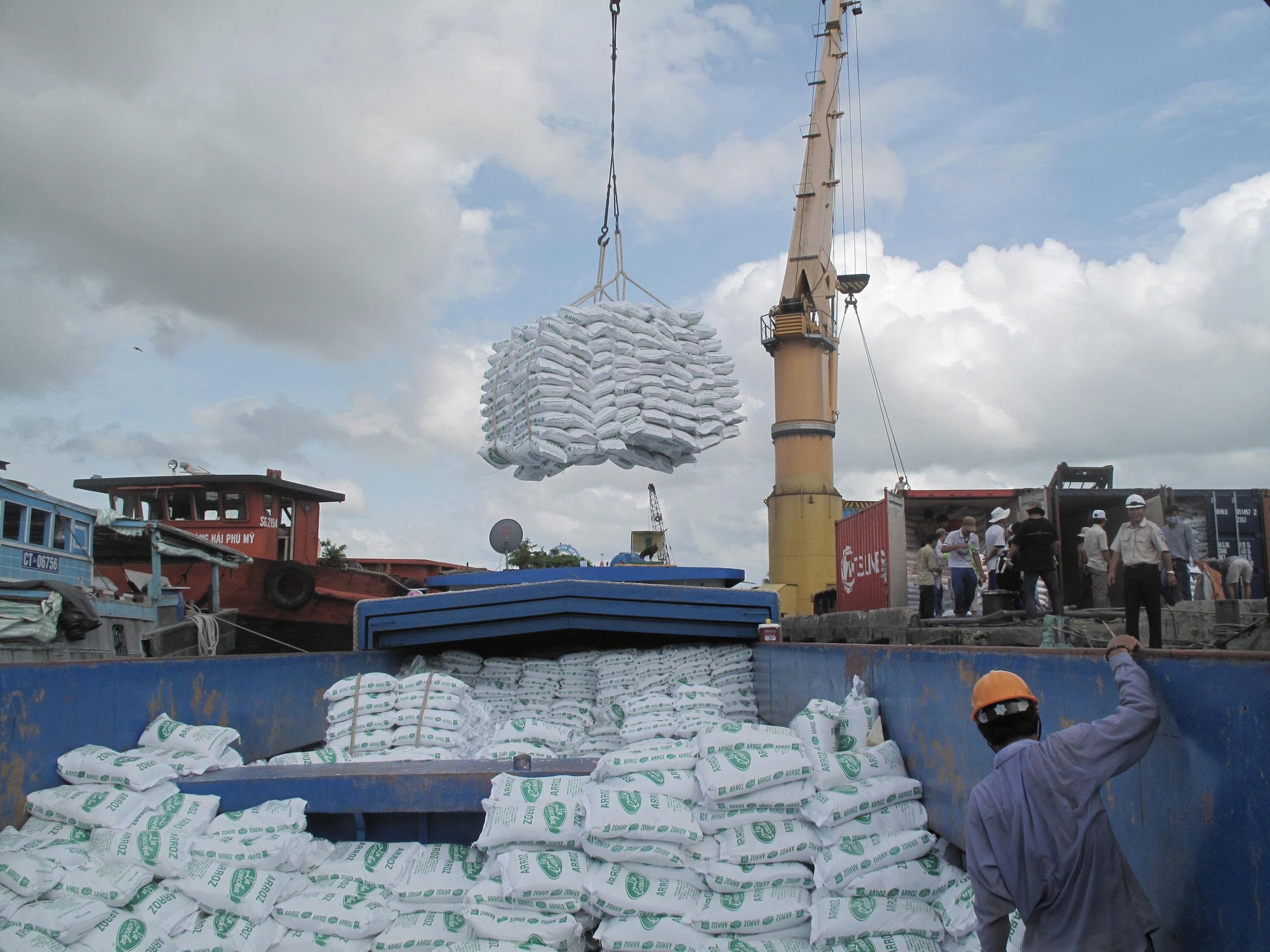 Xuất khẩu gạo tăng nhẹ, đối mặt &aacute;p lực gi&aacute; v&agrave; chi ph&iacute; logistics- Ảnh 2.