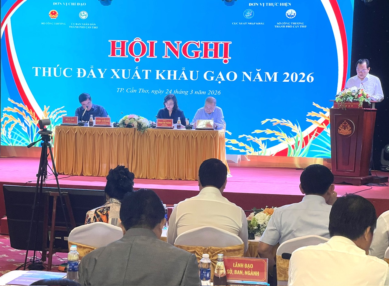 Xuất khẩu gạo tăng nhẹ, đối mặt &aacute;p lực gi&aacute; v&agrave; chi ph&iacute; logistics- Ảnh 1.