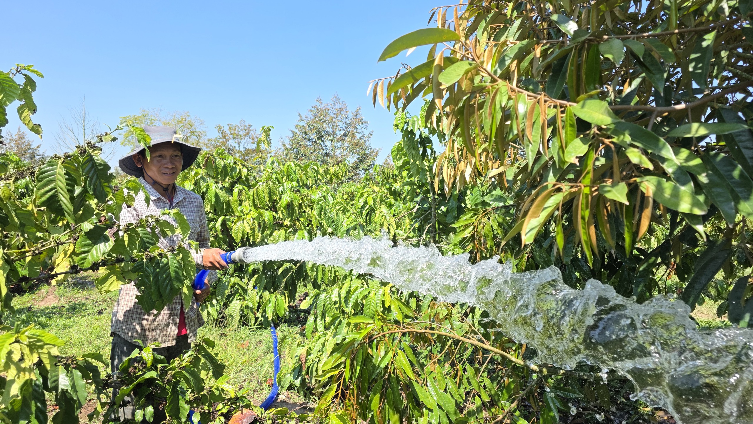 Ứng phó biến động xăng dầu (Kỳ 2): Chuyển đổi xanh, hướng tới phát triển bền vững- Ảnh 2. Ứng phó biến động xăng dầu (Kỳ 2): Chuyển đổi xanh, hướng tới phát triển bền vững- Ảnh 2.