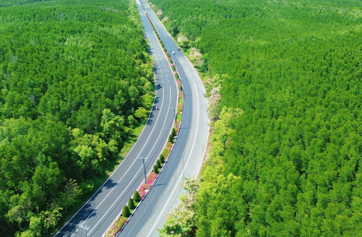 Hơn 5.000 vận động viên tham gia VnExpress Marathon Green Paradise Cần Giờ- Ảnh 2. Hơn 5.000 vận động viên tham gia VnExpress Marathon Green Paradise Cần Giờ- Ảnh 2.