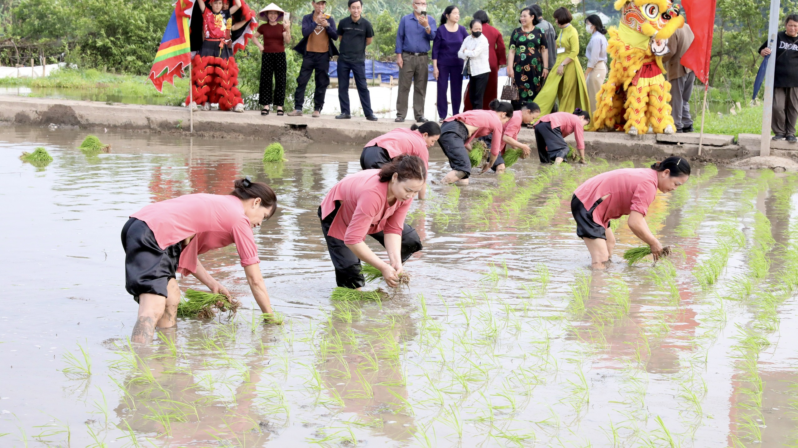 Độc đ&aacute;o lễ hội t&aacute;i hiện Vua H&ugrave;ng dạy d&acirc;n cấy l&uacute;a ở Ph&uacute; Thọ- Ảnh 7.