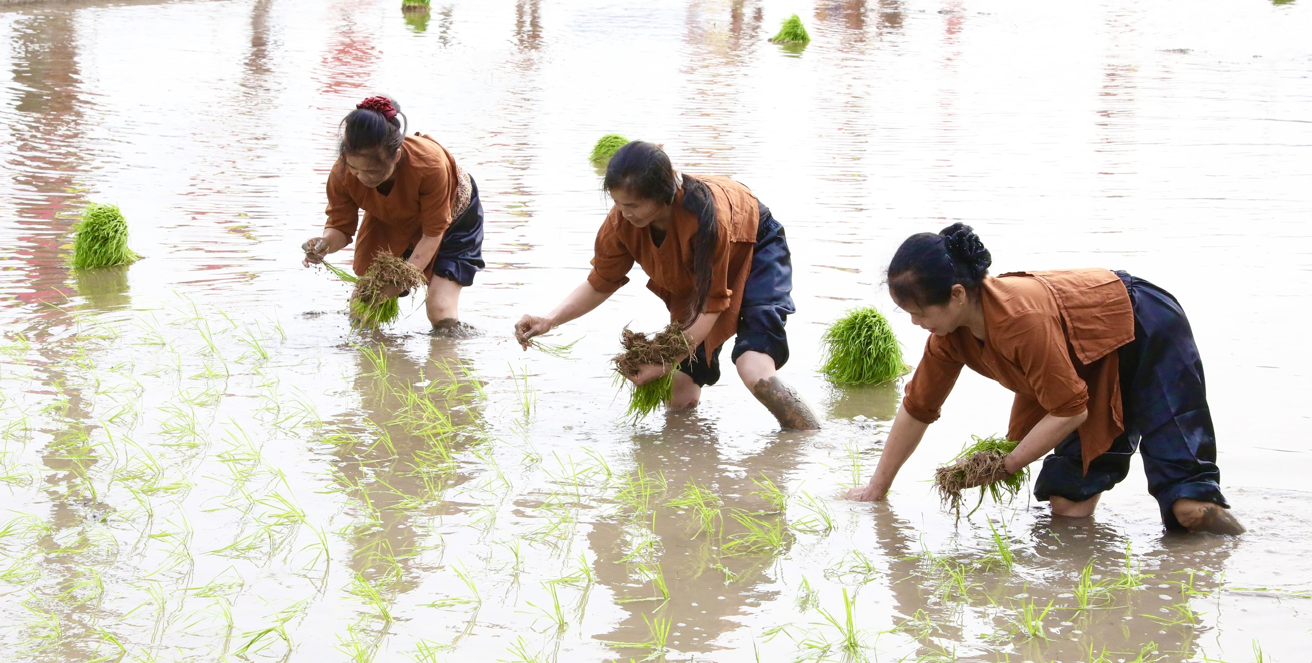 Độc đ&aacute;o lễ hội t&aacute;i hiện Vua H&ugrave;ng dạy d&acirc;n cấy l&uacute;a ở Ph&uacute; Thọ- Ảnh 8.