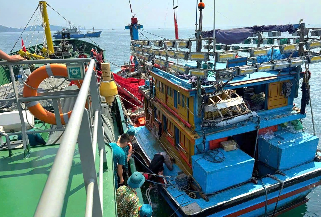 T&agrave;u c&aacute; va đ&aacute; ngầm, 12 ngư d&acirc;n được cứu kịp thời- Ảnh 1.