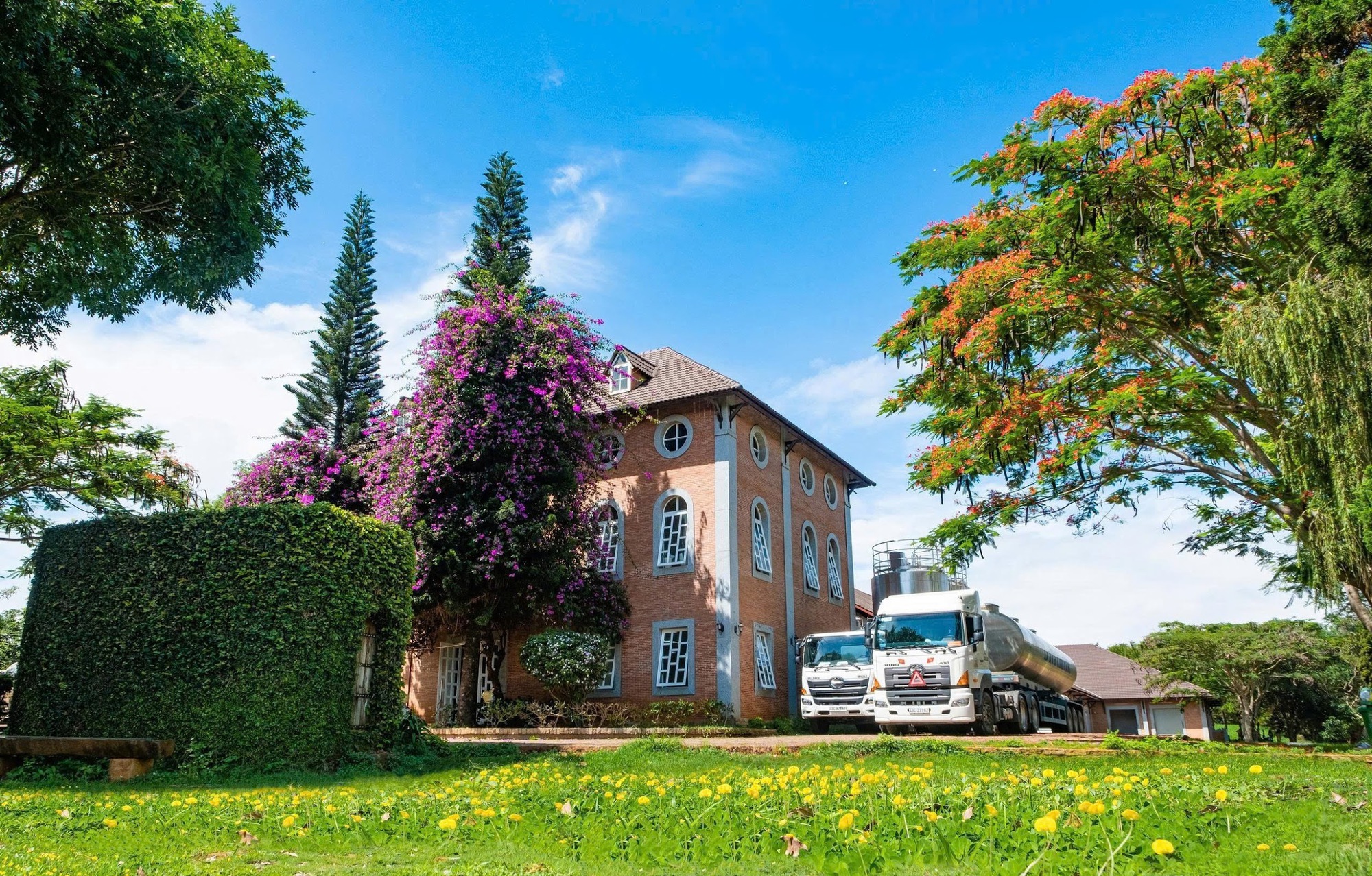 Dalatmilk ra mắt sữa tươi thanh tr&ugrave;ng hương chuối- Ảnh 2.