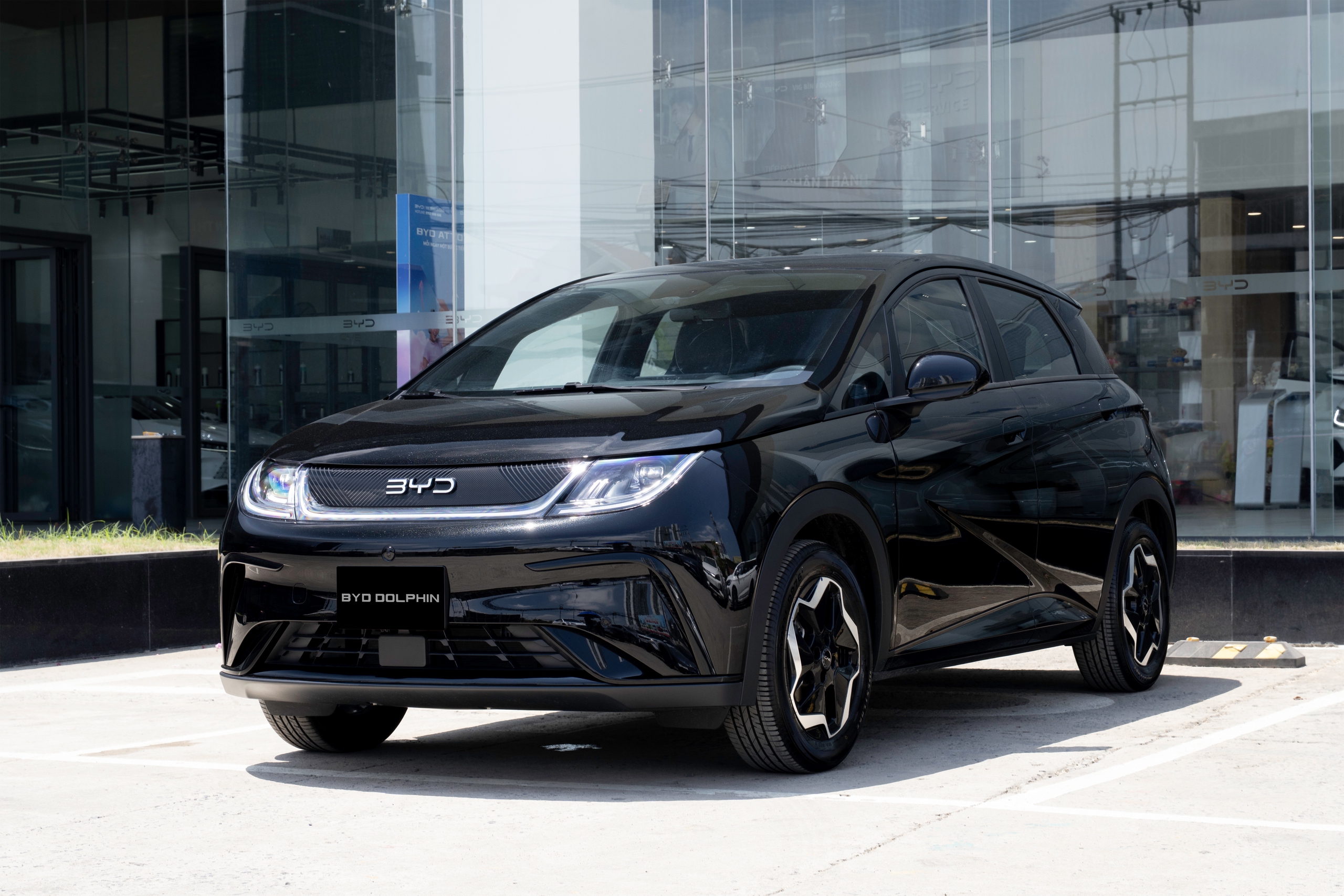 BYD Dolphin 2026 ra mắt Việt Nam, giá từ 499 triệu đồng- Ảnh 1.