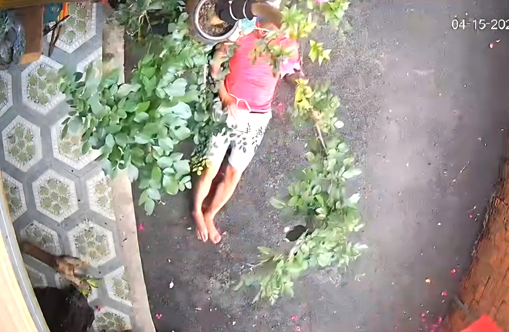 L&acirc;m Đồng: M&acirc;u thuẫn lối đi chung, một người đ&agrave;n &ocirc;ng bị đ&aacute;nh nhập viện- Ảnh 1.