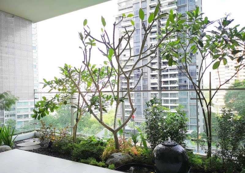 Tìm lời giải cho bài toán không gian xanh gắn với căn hộ trong “đô thị nén”- Ảnh 1.
