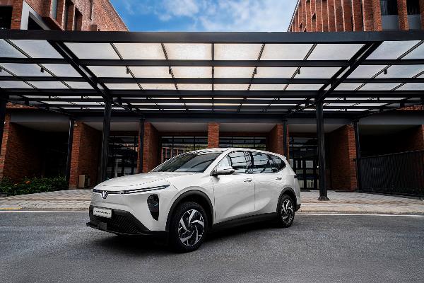 Lý do ô tô điện VinFast trở thành lựa chọn hàng đầu của người dùng Việt- Ảnh 2.