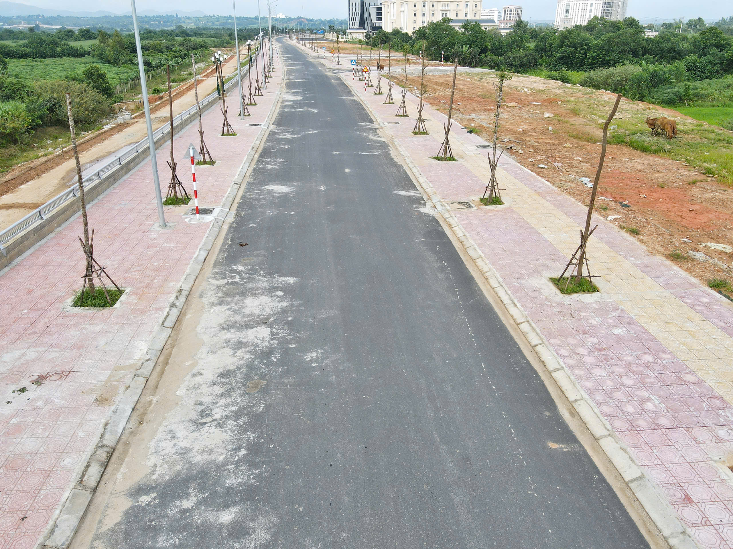 Quảng Ng&atilde;i ho&agrave;n th&agrave;nh tuyến k&egrave; gần 500 tỷ đồng, mở rộng kh&ocirc;ng gian đ&ocirc; thị- Ảnh 5.