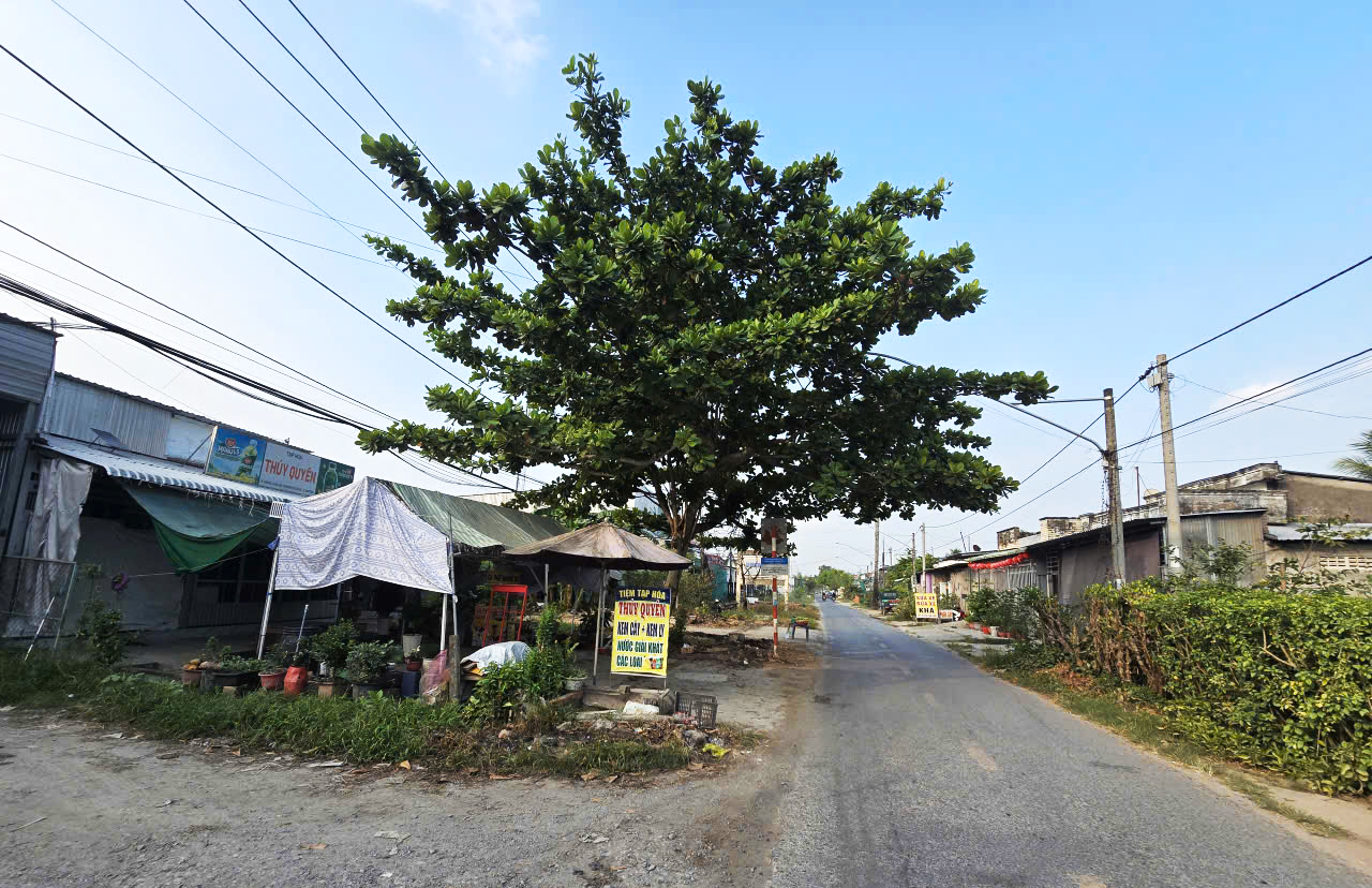 Cần Thơ gỡ vướng hai dự &aacute;n giao th&ocirc;ng vốn đầu tư hơn 2.000 tỷ đồng- Ảnh 2.