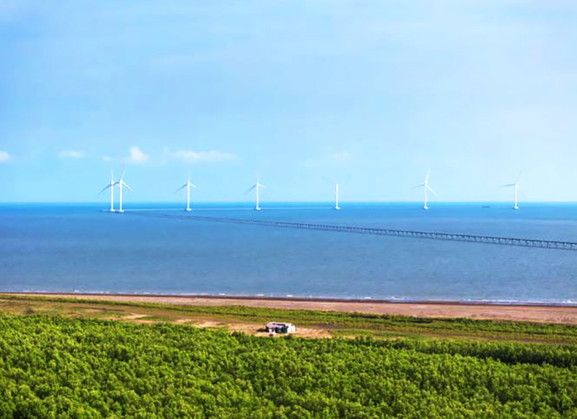 Cần Thơ đề xuất chuyển hơn 6,4 ha rừng phòng hộ để phát triển điện gió- Ảnh 2.