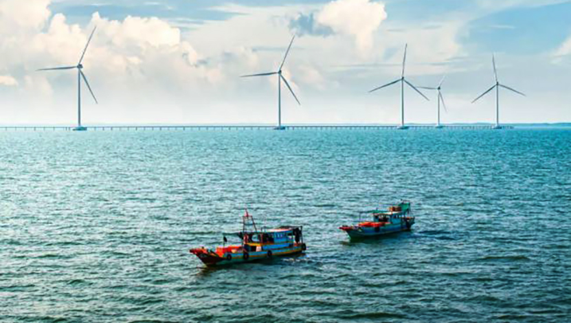 Cần Thơ đề xuất chuyển hơn 6,4 ha rừng phòng hộ để phát triển điện gió- Ảnh 1.