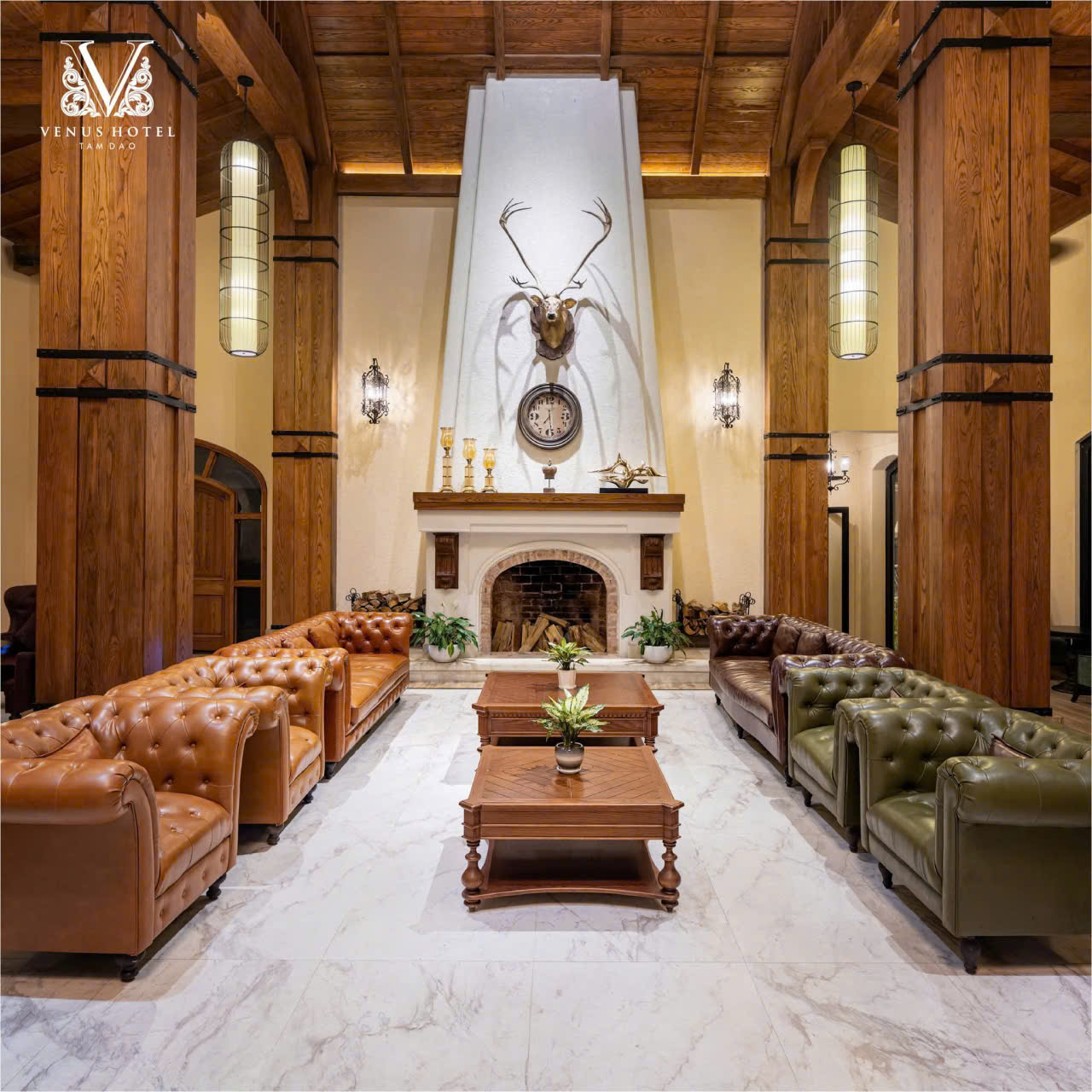 Ph&uacute; Thọ: Kh&aacute;ch sạn Venus Tam Đảo - Trải nghiệm nghỉ dưỡng "tr&ecirc;n m&acirc;y" giữa đại ng&agrave;n- Ảnh 11.