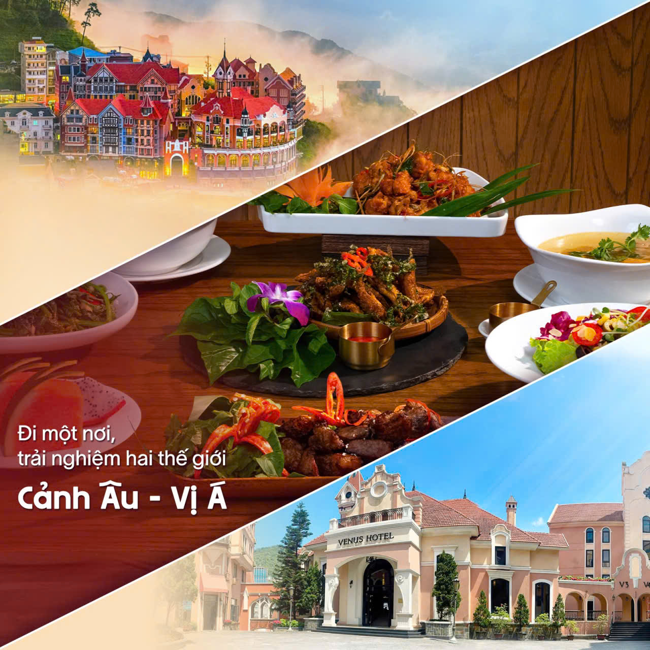 Ph&uacute; Thọ: Kh&aacute;ch sạn Venus Tam Đảo - Trải nghiệm nghỉ dưỡng "tr&ecirc;n m&acirc;y" giữa đại ng&agrave;n- Ảnh 6.