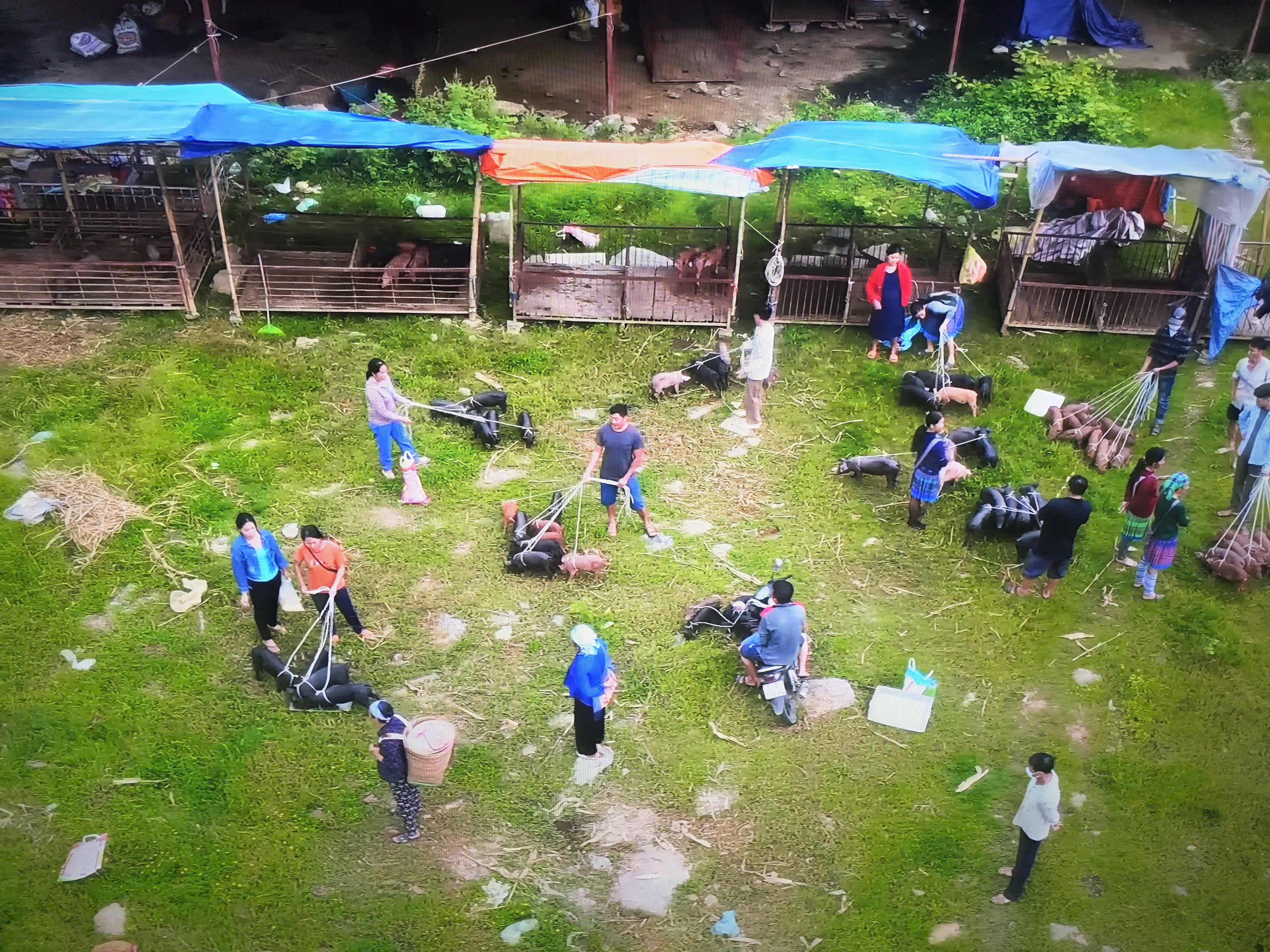 Độc đáo chợ phiên vùng biên ở Lào Cai- Ảnh 1. Độc đáo chợ phiên vùng biên ở Lào Cai- Ảnh 1.