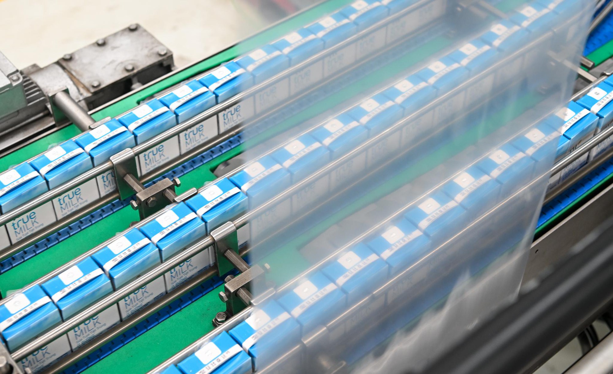 &ldquo;Thu gom vỏ hộp, lan tỏa sống xanh 2026&rdquo;: từ h&agrave;nh động nhỏ đến v&ograve;ng tuần ho&agrave;n xanh- Ảnh 5.