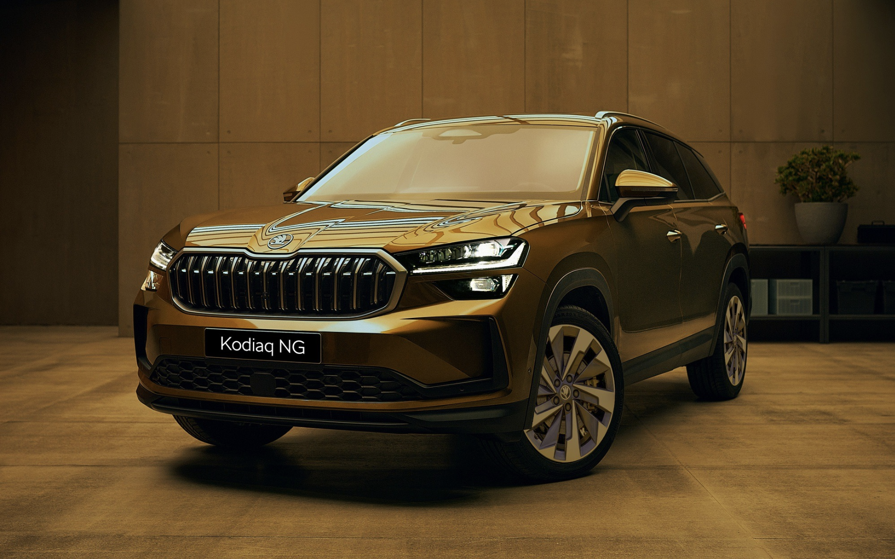 Triệu hồi Skoda Kodiaq tại Việt Nam- Ảnh 1.