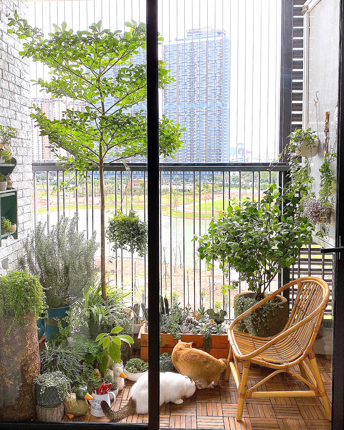 Thiết kế ban công trong nhà ở hiện đại: Từ không gian đệm đến giá trị sống thực- Ảnh 2.