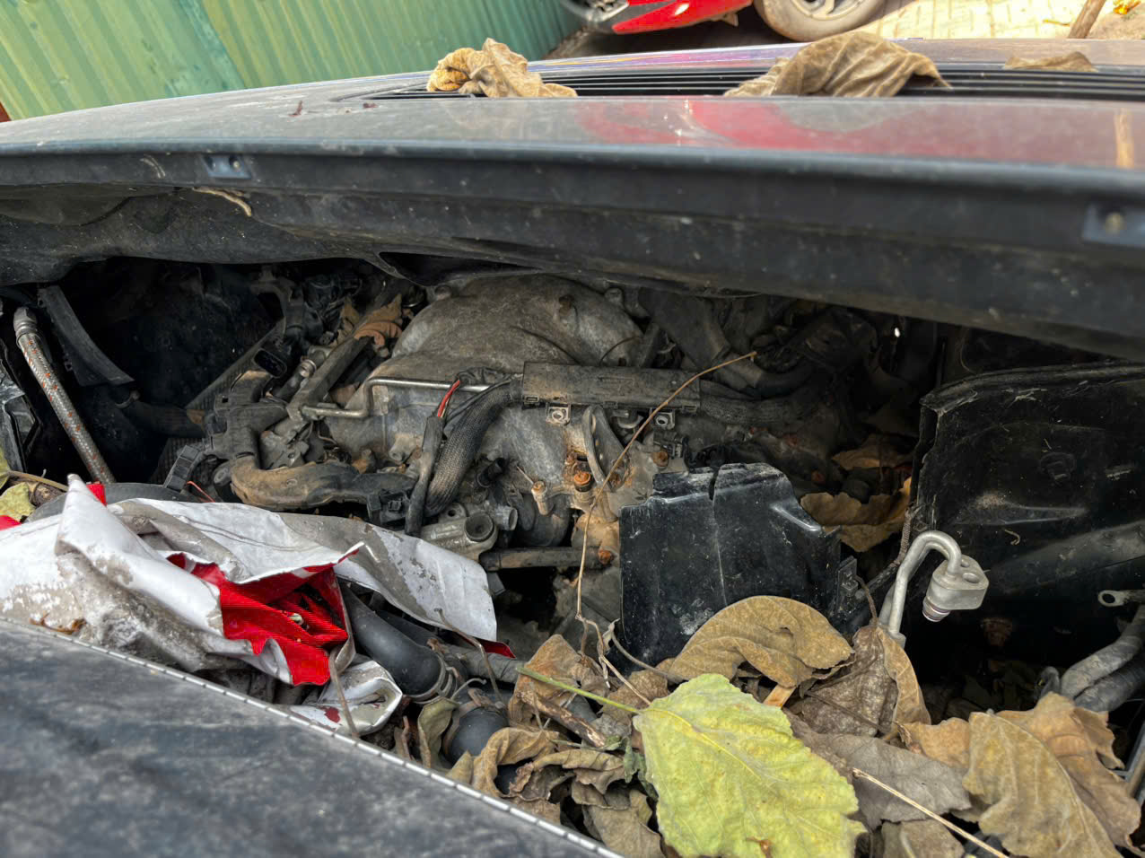 Những chiếc xe sang tiền tỷ bị bỏ quên trên phố- Ảnh 2. Những chiếc xe sang tiền tỷ bị bỏ quên trên phố- Ảnh 2.