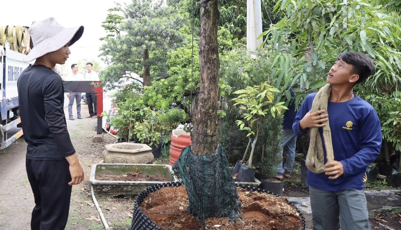 TP Đồng Nai chấn chỉnh lấn chiếm vỉa h&egrave;, chỉnh trang đ&ocirc; thị khu vực trung t&acirc;m- Ảnh 2.
