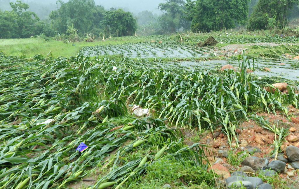 Quảng Ninh chủ động ứng ph&oacute; mưa lớn, khắc phục nhiều điểm sạt lở- Ảnh 4.