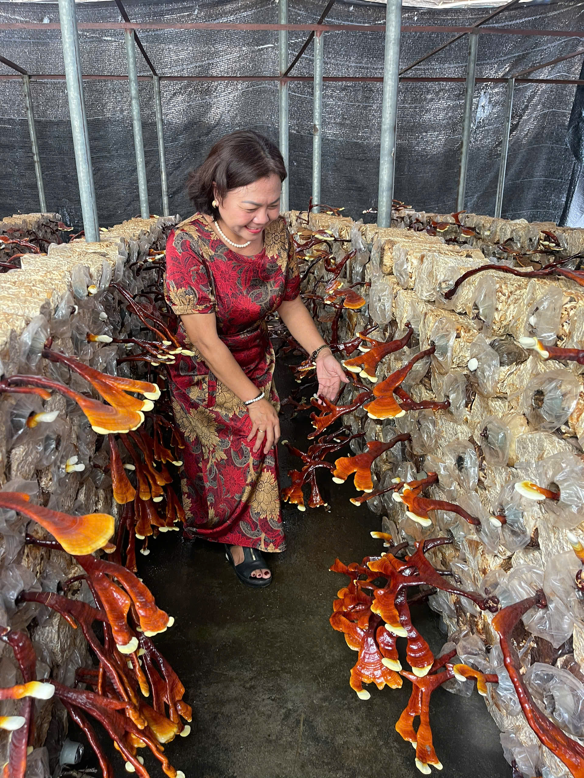 Kết nối giao thương, mở lối hợp tác cho doanh nghiệp Thái Nguyên- Ảnh 4. Kết nối giao thương, mở lối hợp tác cho doanh nghiệp Thái Nguyên- Ảnh 4.