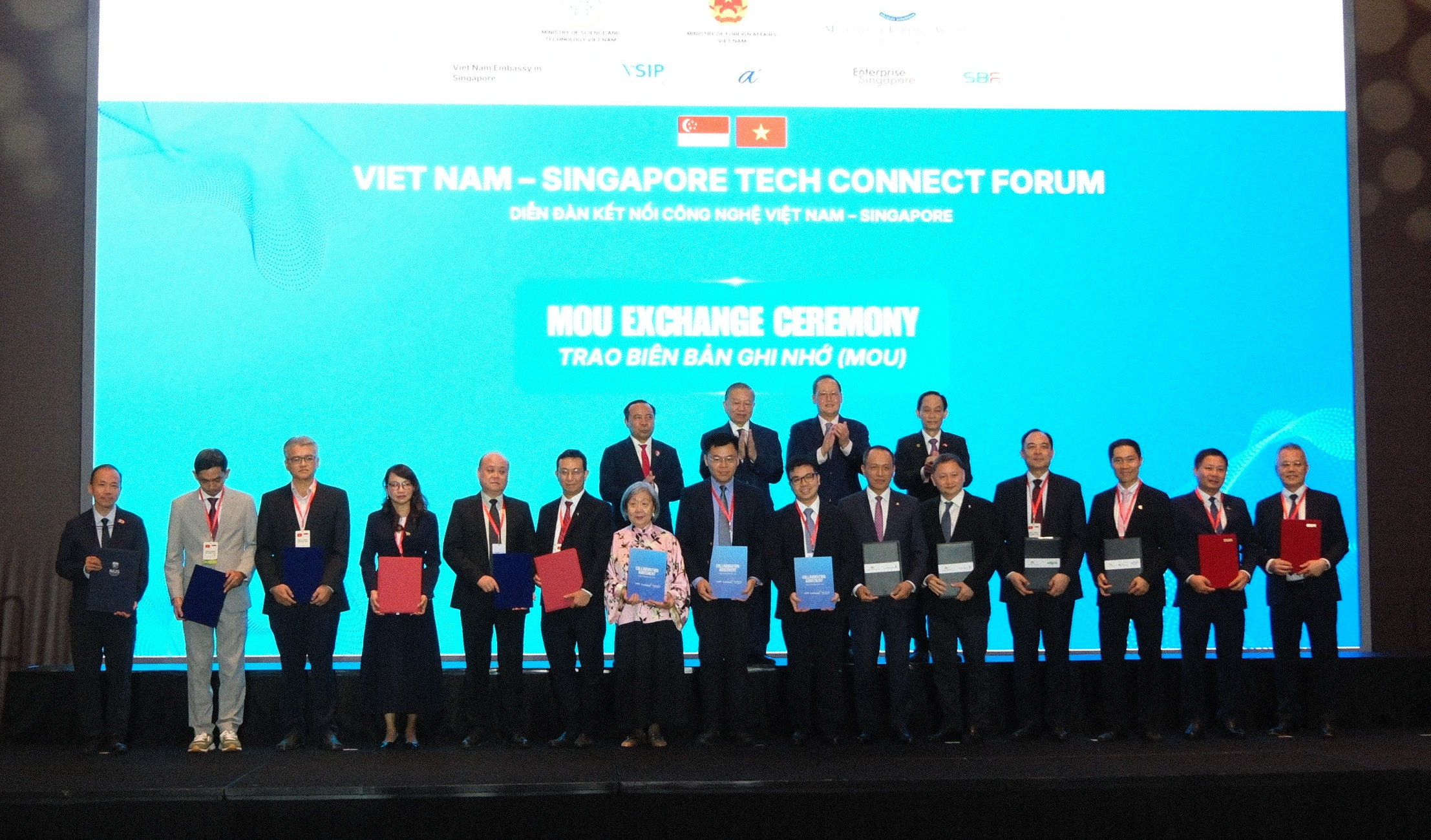 Việt Nam sẽ có thêm 5 Khu công nghiệp VSIP- Ảnh 1.