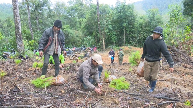 Ngăn chặn xây dựng trái phép, đẩy nhanh GPMB các dự án đô thị ở Măng Đen- Ảnh 1.