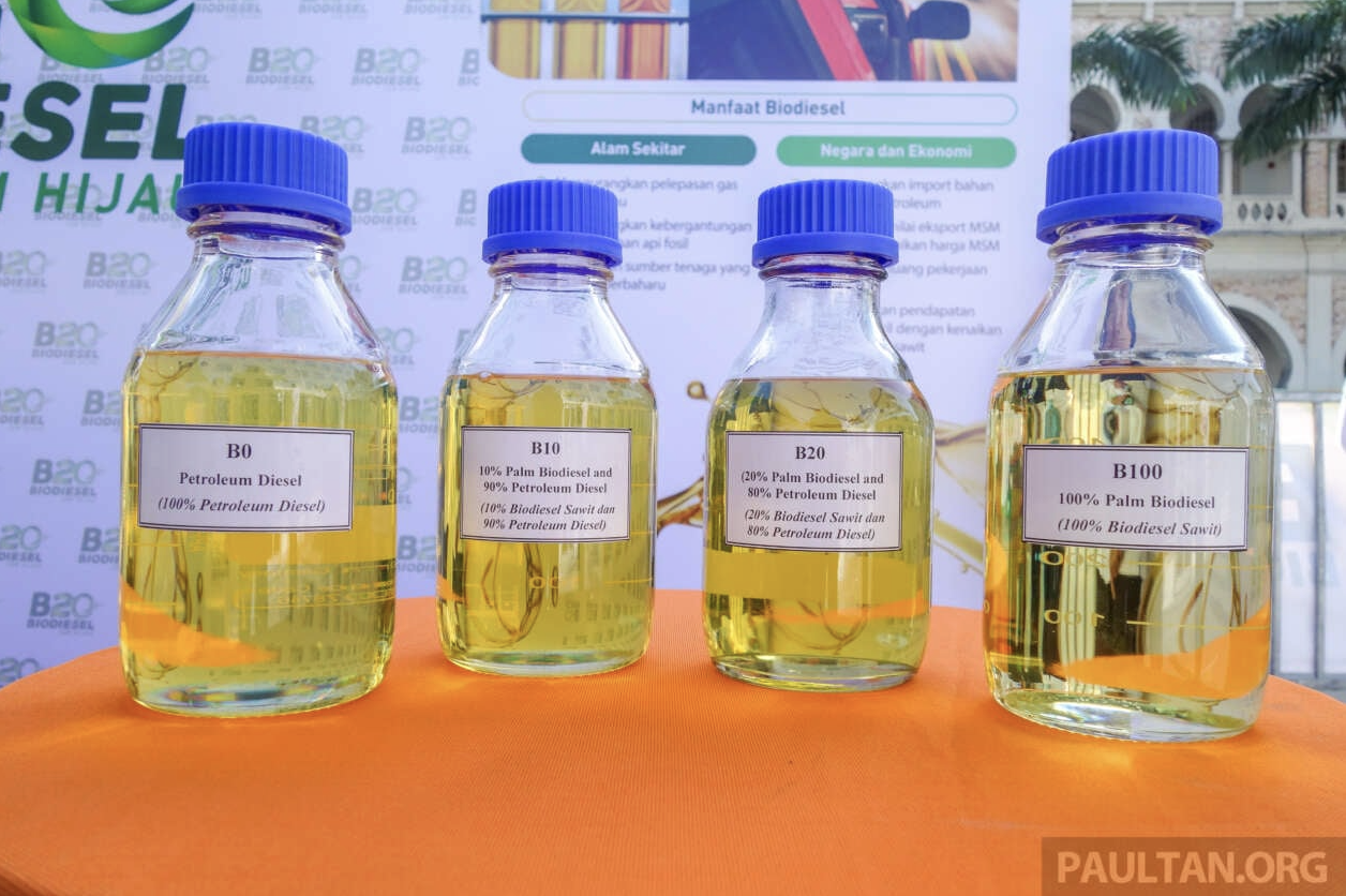 Malaysia bán nhiên liệu sinh học B15 cho ô tô- Ảnh 1.