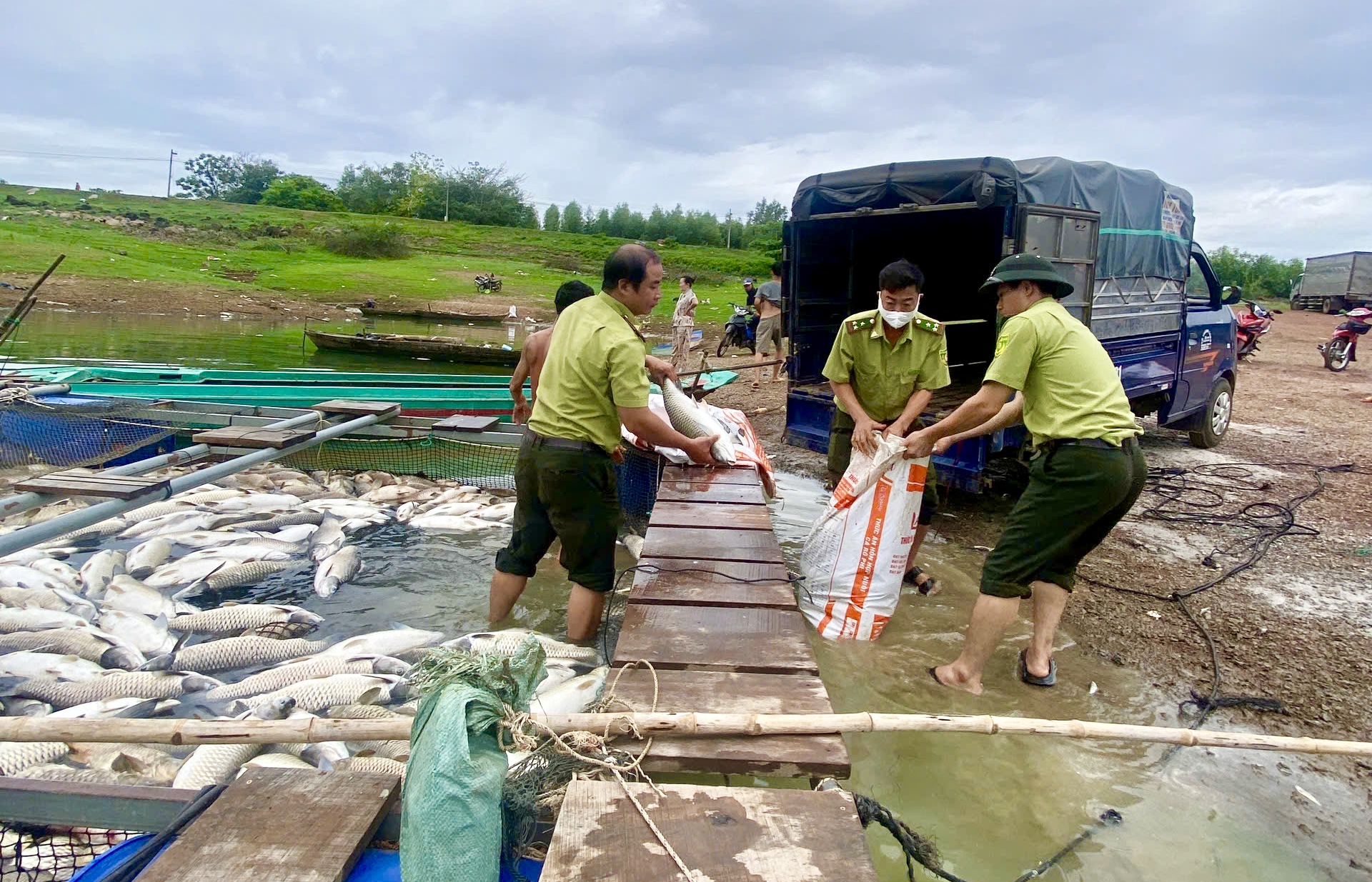 Đồng Nai: Nguyên nhân ban đầu khiến 250 tấn cá chết ở hồ Trị An- Ảnh 2. Đồng Nai: Nguyên nhân ban đầu khiến 250 tấn cá chết ở hồ Trị An- Ảnh 2.