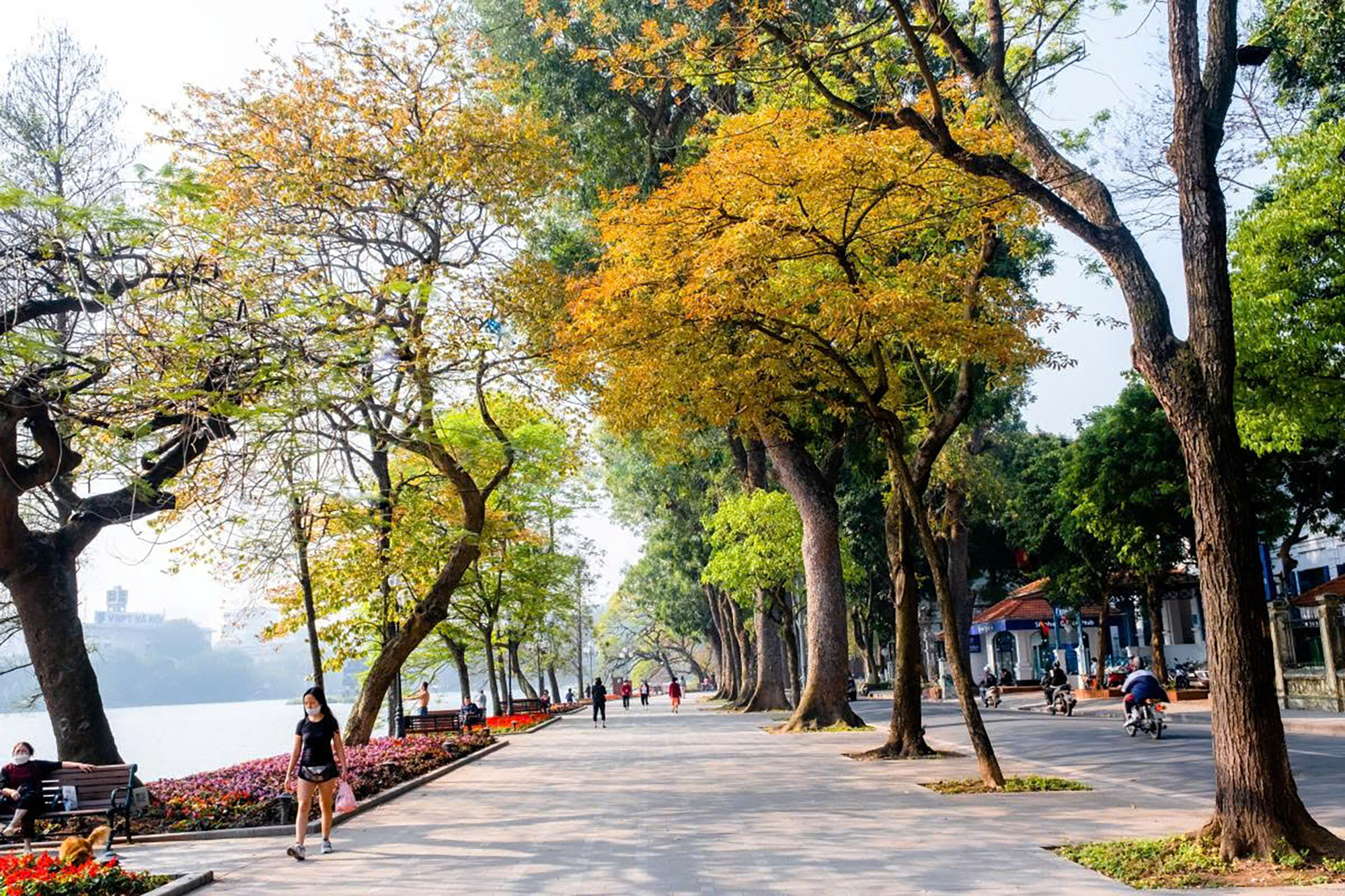 “Kết nối xanh” nâng tầm đô thị Hà Nội- Ảnh 1. “Kết nối xanh” nâng tầm đô thị Hà Nội- Ảnh 1.