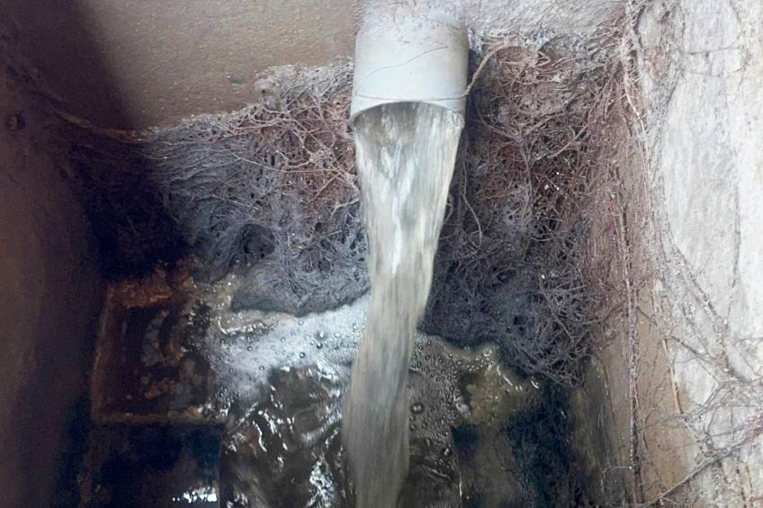 Bệnh viện Quốc tế S.I.S Cần Thơ bị phạt hơn 2 tỷ đồng do vi phạm m&ocirc;i trường- Ảnh 2.
