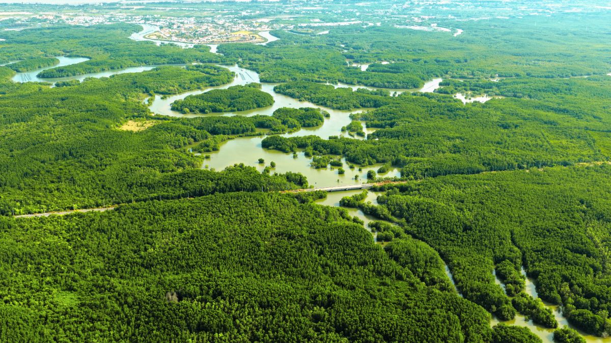Vinhomes Green Paradise: “Nhà hàng Michelin 3 sao” độc bản của giới bất động sản- Ảnh 2.