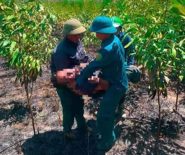Hai vợ chồng tử vong trong vụ cháy rừng ở Hà Tĩnh - Ảnh 1.